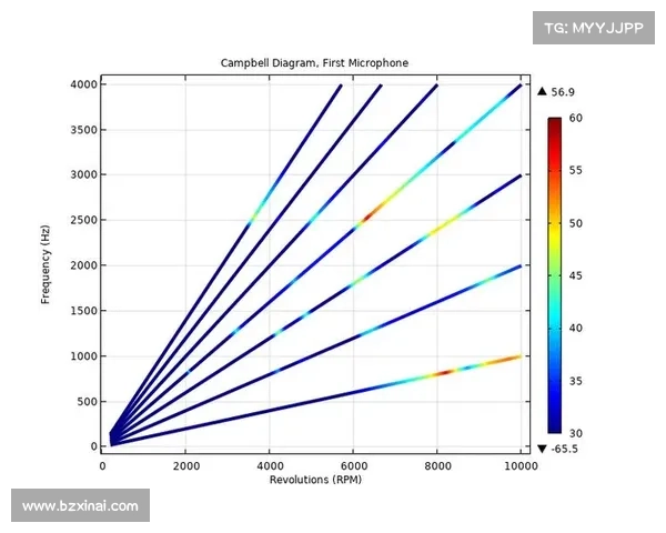 坎贝尔打什么位置最为合适分析及最佳选择探讨